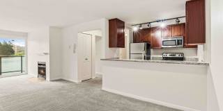 1-Bedroom Condo Near Bitter Lake Gallery 10