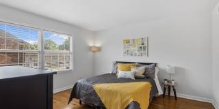 Monon Living Gallery 16
