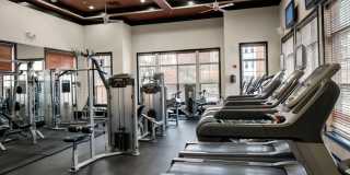 Greenwich Place Apartments Gallery 12