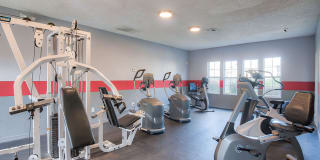 St. Germaine Gallery 8