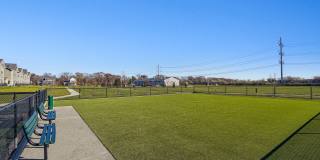 The Arboretum Gallery 23