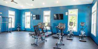 Killarney Woods Gallery 14