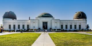 Kingsley Court Gallery 38