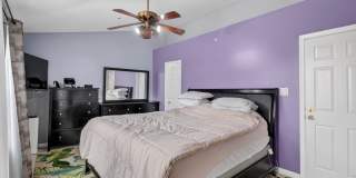 3818 EARLY GLOW Lane Gallery 28