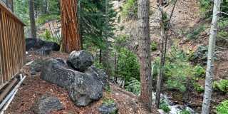 Charming 3BR Duplex in Incline Village Gallery 24