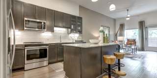 Alexan Lower Greenville Alexan Lower Greenville Gallery 5