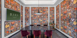 Julius Gallery 24