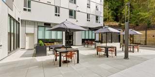 Adara at Totem Lake Gallery 18