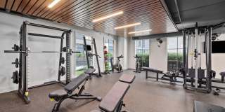 Atlantic on Romney Atlantic on Romney Gallery 3