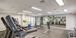 Cielo Point Cielo Point Gallery 21