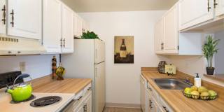 Fountain Gardens Gallery 16