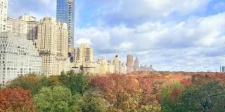 230 CENTRAL Park Gallery 12