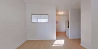 University Manor - Newly Renovated Units just a short walk from Campus! Gallery 38