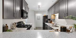 TGM Bull Run Gallery 1