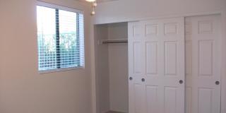 Effortless Central Tucson Living: 2BR Gem with Water/ Sewer/ Trash Included Gallery 6