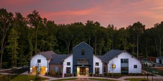 Axis at the Park Gallery 30