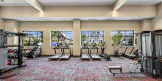 Alta French Hill Gallery 43