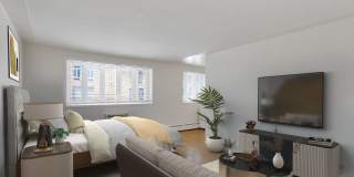 60 Corona Gallery 8