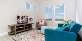 Mihir Taylor Gallery 10