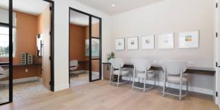The Harlow Gallery 22