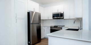 Del Mar Ridge Gallery 4