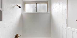 South Majestic Gallery 31