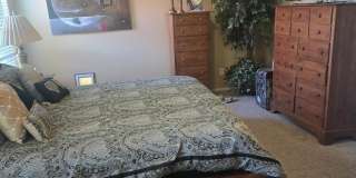 1184 W DESERT HOLLOW Drive Gallery 13
