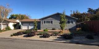 3-Bed 2-Bath North Chico Residential Gallery 21