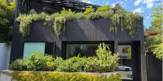 162 Throckmorton Avenue Gallery 41