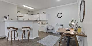 Canopy at South Lakes Gallery 1