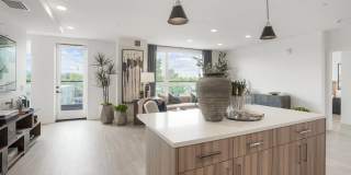 Maxwell at Bascom Maxwell at Bascom Gallery 7