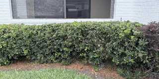 425 TIMBERWALK Court Gallery 14