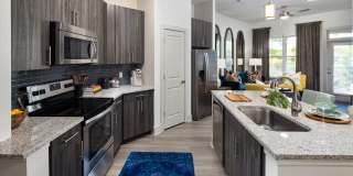 Flats at Ballantyne Gallery 2