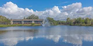 Solana Vista Gallery 5