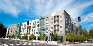 Cadence Apartments Gallery 1