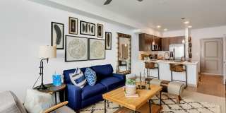 Arista at Ocotillo by Mark-Taylor Gallery 5