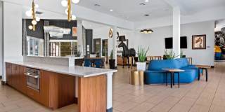 REVERB at Spring Valley Gallery 25