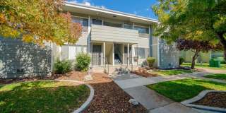 The Meadows Gallery 9