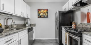 The Pointe at Canyon Ridge Apartments Gallery 4