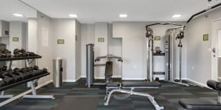 White Pines Gallery 9