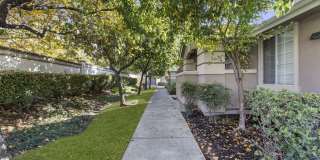 Sherwood at Iron Point Gallery 19