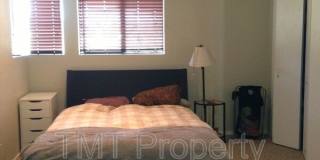 881-D Peach Gallery 9