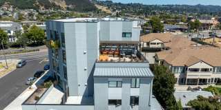 Cerrito Vista Gallery 37