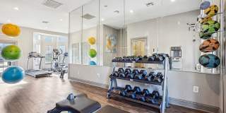 The Park at Midtown Gallery 6