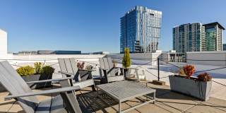 Park Metro Gallery 10