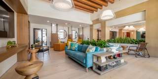 Alta Cypress Gallery 19