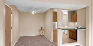 Large 3 Bedroom Apartments PET FRIENDLY! Gallery 20