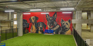 Yardley Flats Gallery 2