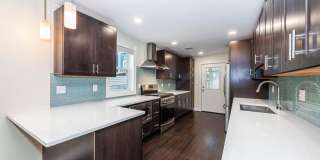 28 Albion St. Gallery 4