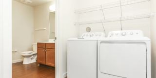 East Meadows Gallery 13